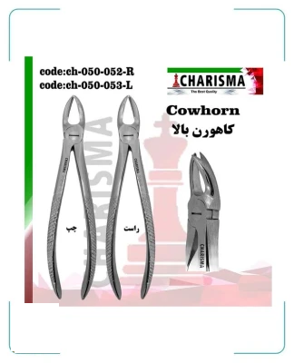 کاهورن بالا کاریزما ( چپ و راست )
