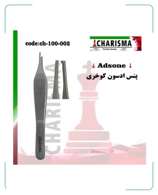 پنس ادسون کوخری باریک کاریزما