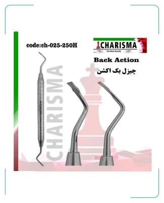چیزل بک اکشن هالو کاریزما