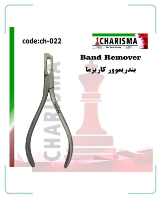 پلایر بندریموور کاریزما